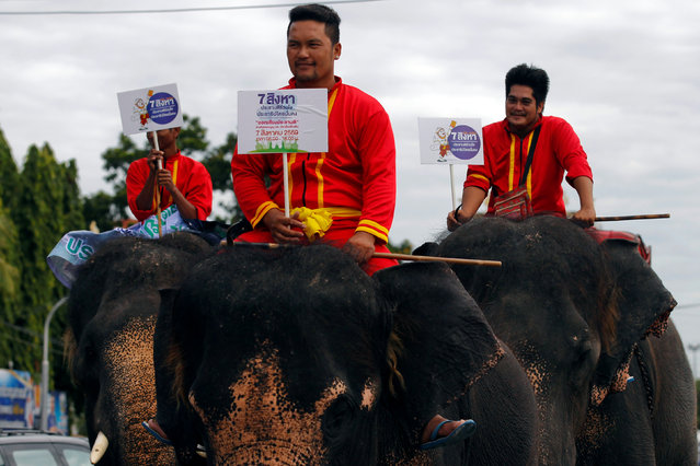 Mahouts sit on their elephants and hold posters during a campaign ahead of the August 7 referendum in Ayutthaya province, north of Bangkok, Thailand, August 1, 2016. (Photo by Chaiwat Subprasom/Reuters)