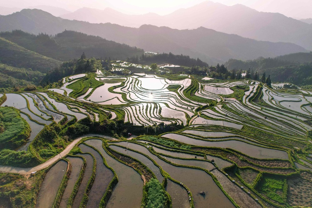 A Look at Life in China