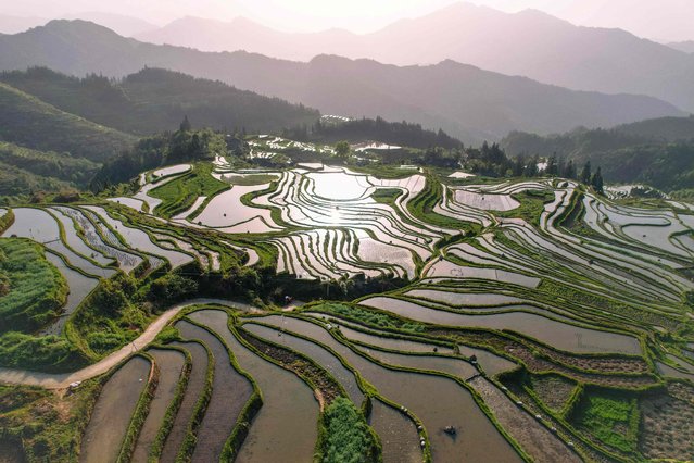 Terraced rice fields are seen in Congjiang, in southwest China's Guizhou Province on April 15, 2025. (Photo by AFP Photo/China Stringer Network)