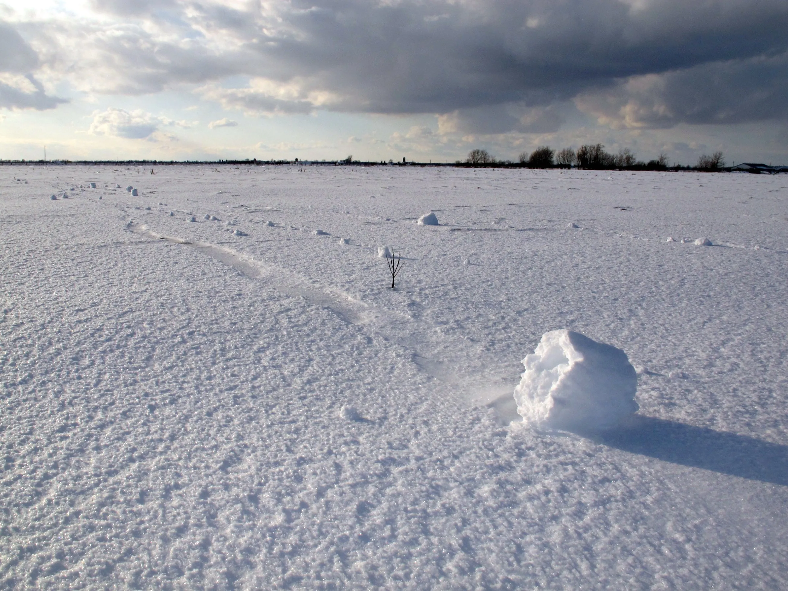 Скорость снежок. Земля покрытая снегом. Снег на земле. Снежный наст. Снег поле.