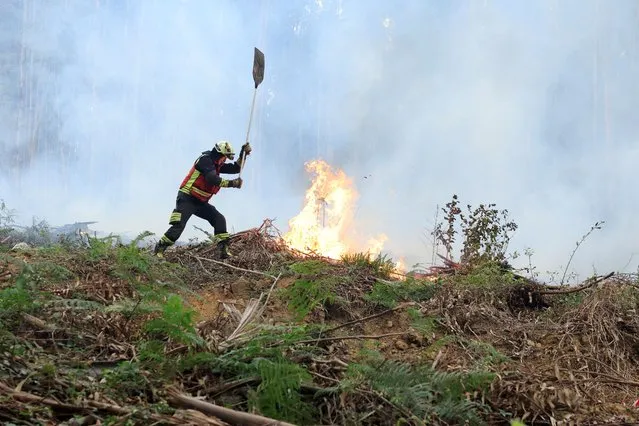 A firefighter battles a forest blaze in Sopela, Spain on October 28, 2022. (Photo by Vincent West/Reuters)