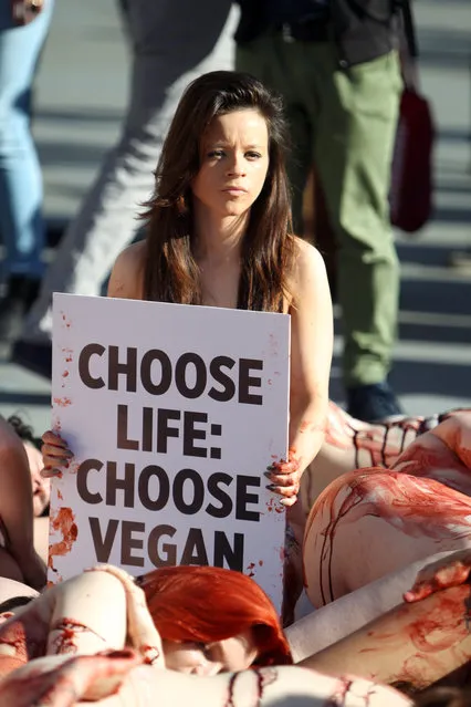 A protestor holds a slogan from the People for the Ethical Treatment of Animals, PETA, as fellow demonstrators lay partially nude in London's Trafalgar Square, organised by the animal rights group, with the aim of encouraging passers-by to have compassion for animals, Saturday November 1, 2014. (Photo by Steve Parsons/AP Photo/PA Wire)