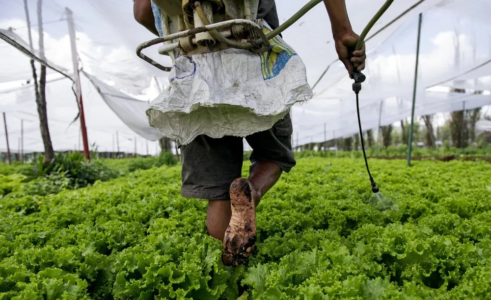 Simply Some Photos: Humans