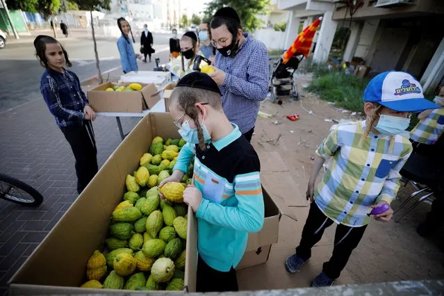 Ultra-Orthodox Jewish boys look at Etrog citrus fruits used in rituals during the upcoming Jewish holiday of Sukkot, amid Israel's second national lockdown to battle the coronavirus disease (COVID-19) crisis, in Ashdod, Israel on September 30, 2020. (Photo by Amir Cohen/Reuters)