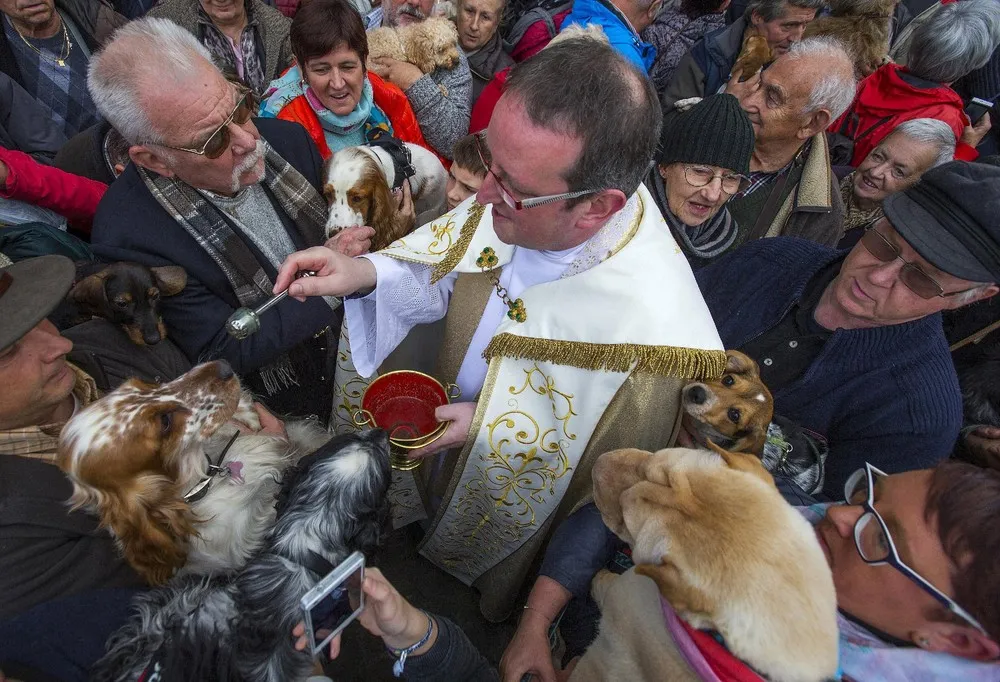 Blessing Ceremony for Animals in Belgium