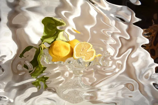 Flowing Still Life: Greengrocery Project. “Vegetables or green fish?”. (Photo by Elisa Villa/Pink Lady Food Awards 2023)