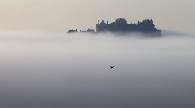 Stirling Castle is seen above morning mist, in Scotland September 30, 2015. (Photo by Russell Cheyne/Reuters)
