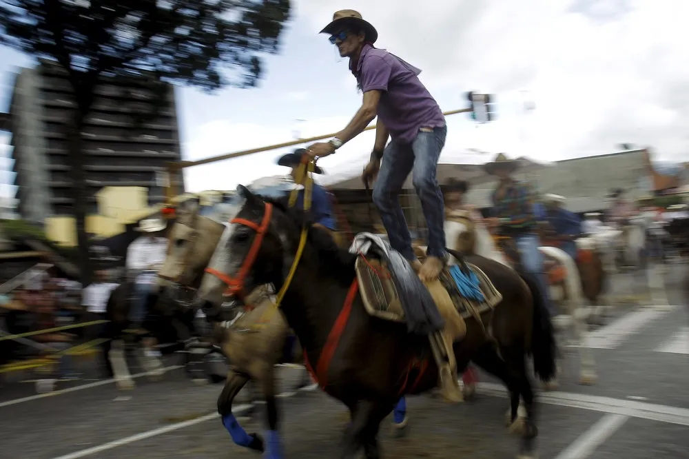Traditional Horse Parade in San Jose