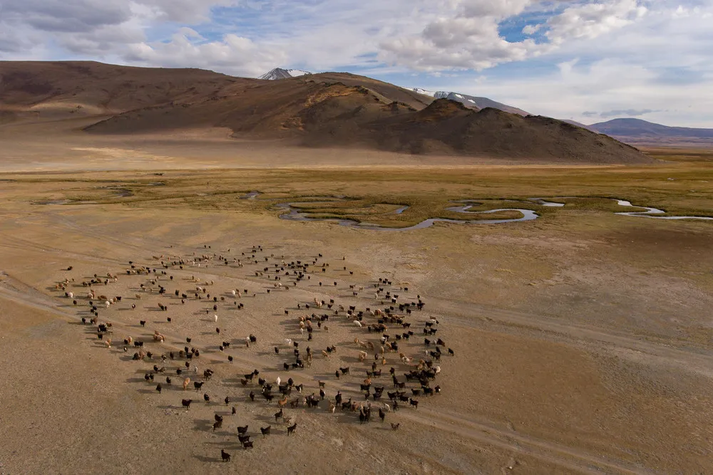 Migrate across Harsh Mongolian Landscapes with Nomadic Family