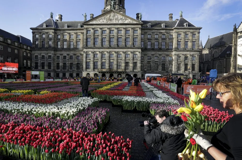 National Tulip Day in Amsterdam