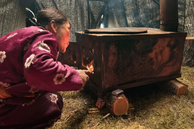 Purev stokes the fire in her teepee oven, heated with reindeer dung in Altai Mountains, Mongolia, September 2016. (Photo by Joel Santos/Barcroft Images)
