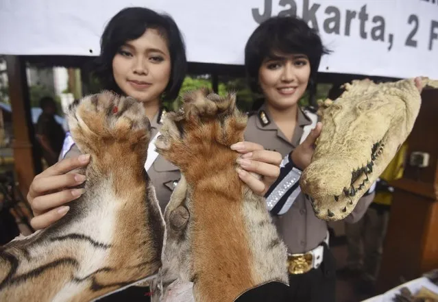 Police officers show some of the confiscated parts of protected animals before they were destroyed at police headquarters in Jakarta, Indonesia February 2, 2016  in this photo taken by Antara Foto. (Photo by Akbar Nugroho Gumay/Reuters/Antara Foto)
