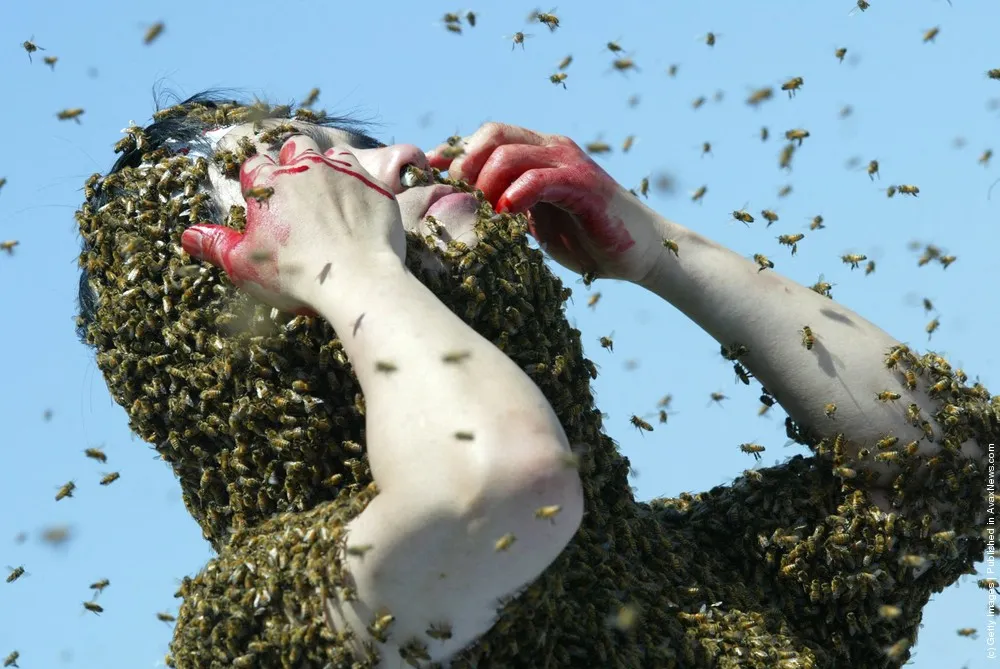 Bee Keeper Protests Japanese Claims On Islands