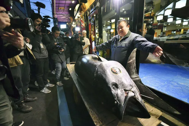 Kiyomura Corp. owner Kiyoshi Kimura, right, poses with the bluefin tuna he made a winning bid at the annual New Year auction, in front of his Sushi Zanmai restaurant in Tokyo Saturday, January 5, 2019. The 612-pound (278-kilogram) bluefin tuna sold for a record 333.6 million yen ($3 million) in the first auction of 2019, after Tokyo's famed Tsukiji market was moved to a new site on the city's waterfront. (Photo by Koki Sengoku/Kyodo News via AP Photo)