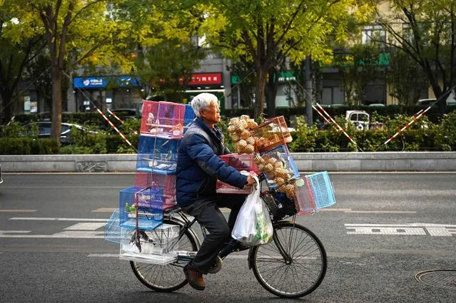 An elderly man rides a bicycle with bird cages on a street in Beijing on November 20, 2023. (Photo by Jade Gao/AFP Photo)