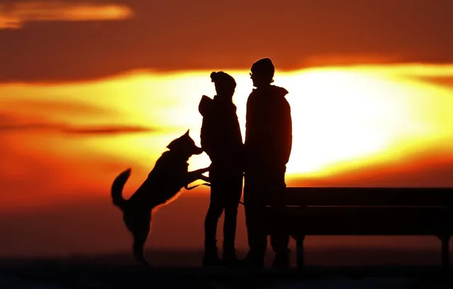 A couple pauses to take in the view of a colorful sunset while walking their dog in a park, Thursday, January 28, 2016, in Portland, Maine. (Photo by Robert F. Bukaty/AP Photo)