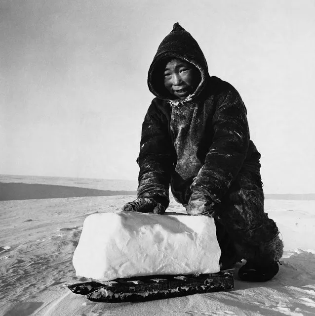 A young inhabitant of the Melville Peninsula uses a small sled to transport a block of frozen snow home to melt for tea. (Photo by Hulton-Deutsch Collection/Corbis via Getty Images)