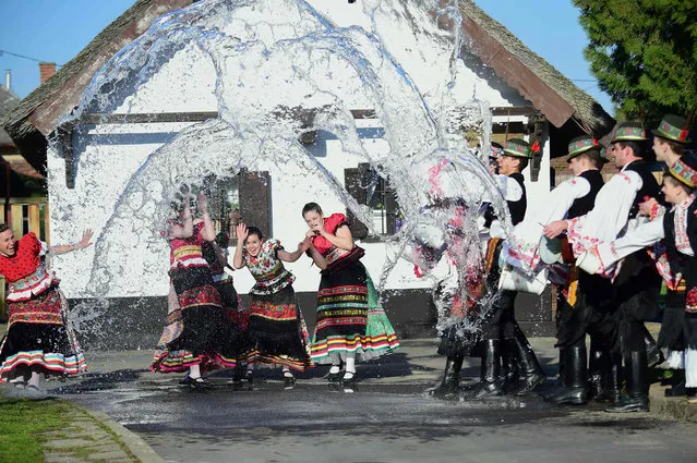 Dancers of “Matyo Folklor Art Association” in traditional clothes, react as boys throw water in Mezokovesd, some 130 km east of Budapest on March 24, 2016 during a rehearsal of the traditional Easter celebrations by the members of Mezokovesd folk dance group. Locals from northeast Hungary celebrate Easter with the traditional “watering of the girls”, a fertility ritual rooted in Hungary's tribal pre-Christian past, going as far back as the second century AD. (Photo by Attila Kisbenedek/AFP Photo)