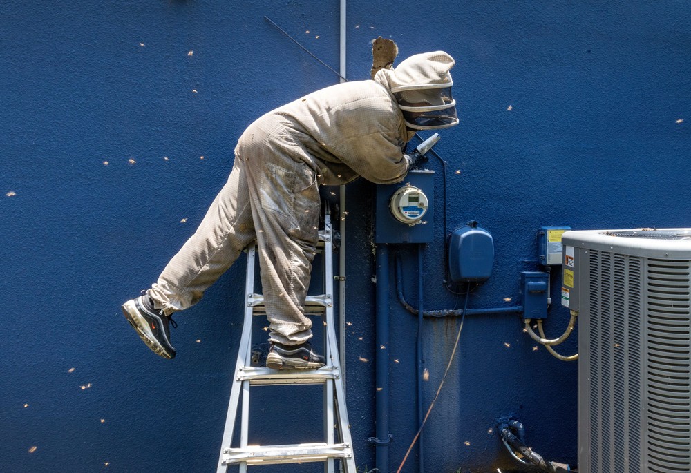 USA last Week, Part 4/4