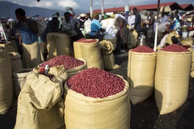 In this April 12, 2016 photo, sacs full of peanuts are displayed for sale in the Croix-des-Bossales market in Port-au-Prince, Haiti. Subsistence farmers in Haiti and economic development experts say they are dismayed by a planned influx of American-grown peanuts from a U.S. agricultural surplus that they fear could undercut a vital cash crop in the impoverished Caribbean nation. (Photo by Dieu Nalio Chery/AP Photo)