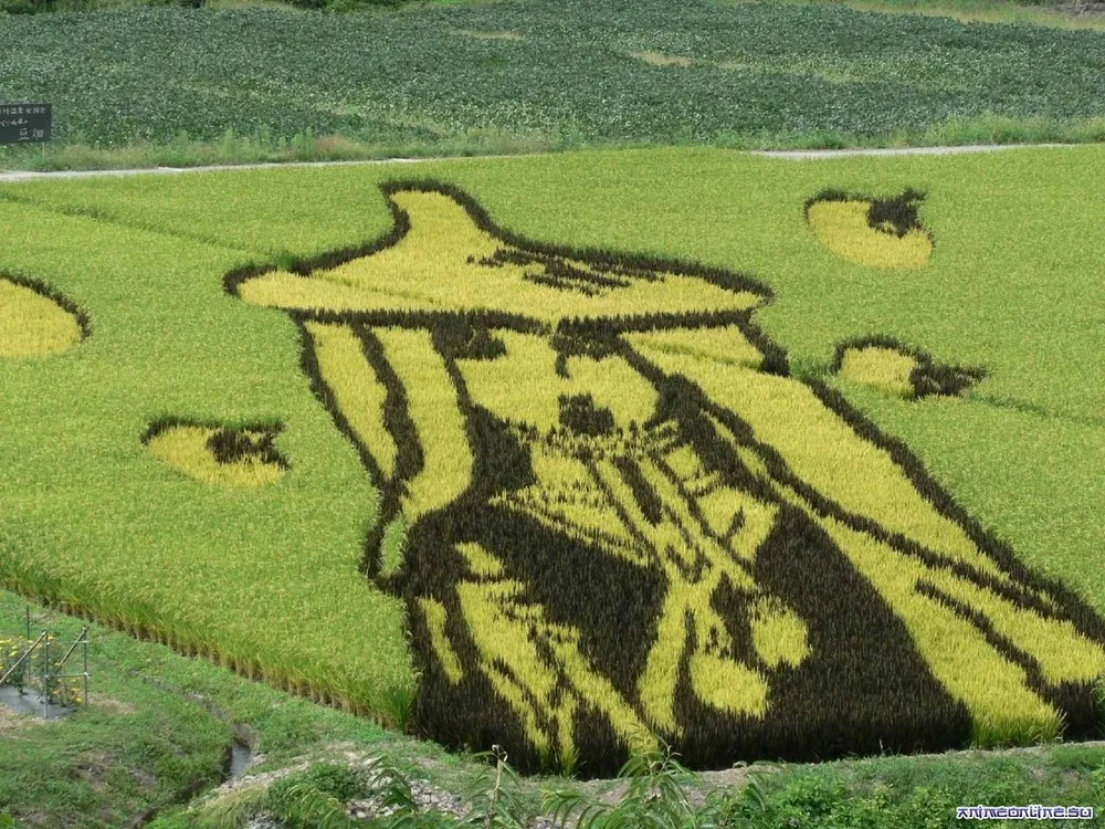 Rice Paddy Art