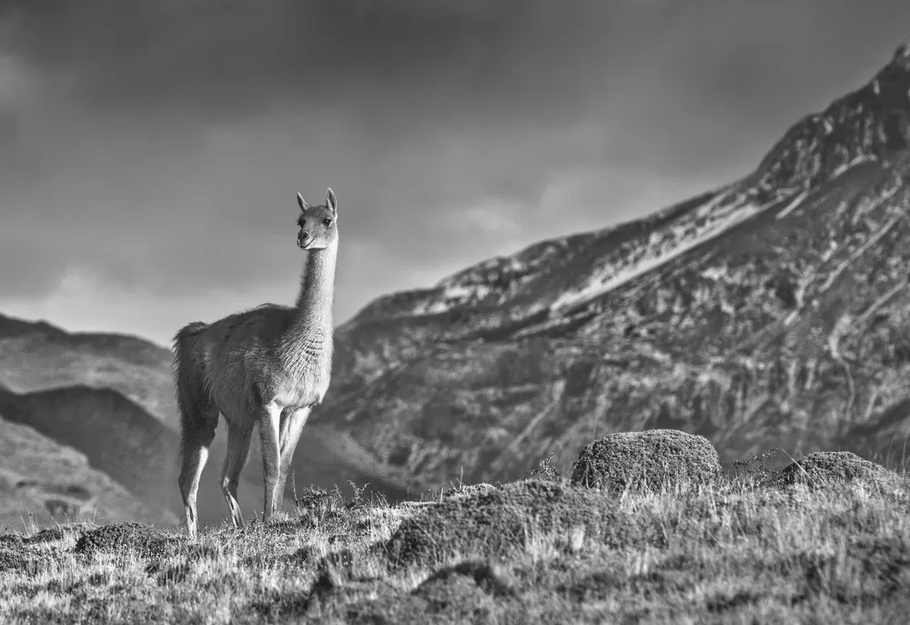 2014 National Geographic Photo Contest, Week 13, Part 2