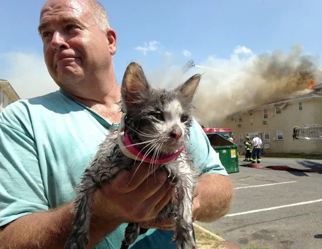 Michael Mautner, Eatontown, holds a soaked kitten who was rescued by firefighters working at the Twin Brooks Apartment complex fire in Ocean Township, N.J., Tuesday, August 4, 2015. (Photo by Thomas P. Costello/The Asbury Park Press via AP Photo)