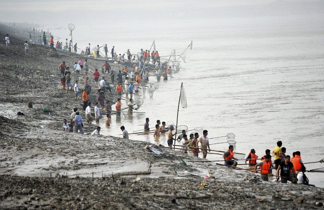 People fish along the bank of the Yellow River as the Sammenxia Dam discharges flood waters downstream in Pinglu, Shanxi province July 6, 2014. People risked sitting on the bank of the flooded river to catch the surge of fish forced to the river surface by the rushing water. (Photo by Reuters/China Daily)