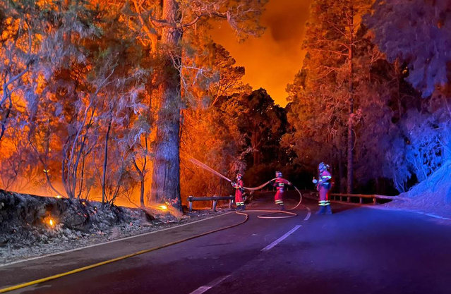 In this handout image released by Military Emergency Unit (UME), military firefighters battle a forest fire on August 17, 2023 raging in the northeastern part of the Canary island of Tenerife. Firefighters made progress on August 18, 2023 in their fight against a huge wildfire that broke out on August 15 on the Spanish holiday island of Tenerife and has forced the evacuation of thousands of people. About 450 firefighters and soldiers backed by 16 aircraft were battling the blaze which has so far destroyed some 3,800 hectares (9,400) acres, the regional government of the archipelago said. (Photo by Handout/UME via AFP Photo)