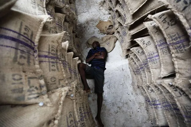 A worker sleeps in a cocoa warehouse in Dabisso June 18, 2014. “Every time the cedi devalues against the dollar, it reduces the capacity to buy fertilisers and inputs to help the farmers”, said a European analyst. “If you consider Ghana is going to produce 900,000 tonnes, about 21 or 22 percent of world demand, it's of enormous importance”. (Photo by Thierry Gouegnon/Reuters)