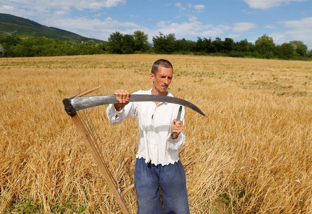 A man sharpens his scythe during the Harvest Festival in Hosszuheteny, Hungary, July 9, 2016. (Photo by Laszlo Balogh/Reuters)