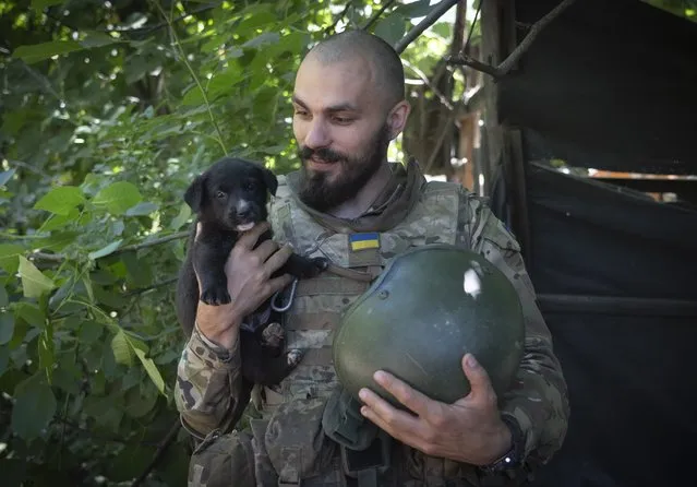 A Ukrainian soldier smiles as he looks at his puppy, in the Donetsk region, Ukraine, Saturday, July 2, 2022. (Photo by Efrem Lukatsky/AP Photo)