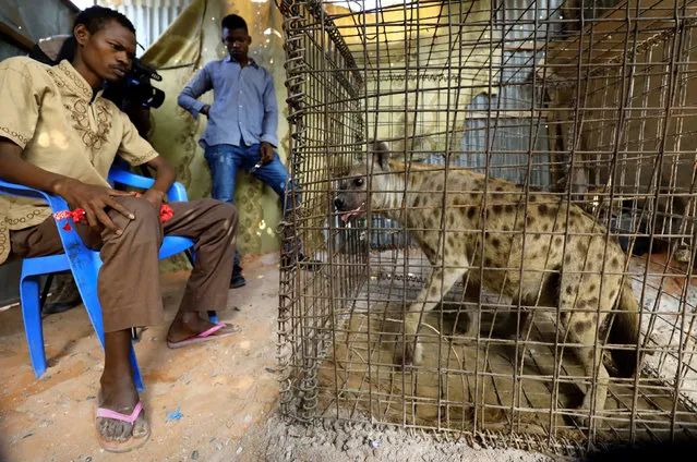 Mohamed Sheikh Yakub, a patient suffering with mental illness, sits inside the treatment room where a hyena believed to exorcise evil spirits that cause mental illness is secured in a cage, in Hodan district of Mogadishu, Somalia on February 15, 2020. (Photo by Feisal Omar/Reuters)