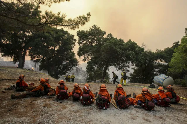 Members of hand crew rest on a hillside near Placenta Canyon Road as a wildfire burns in Santa Clarita, Calif., Sunday, July 24, 2016. (Photo by Ringo H.W. Chiu/AP Photo)