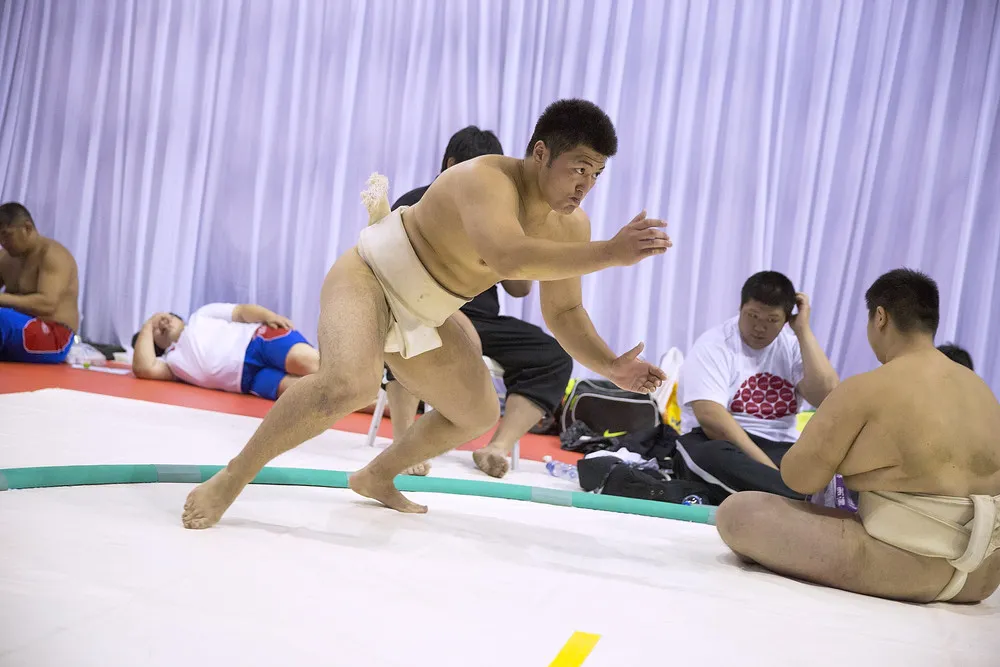 2016 World Sumo Championship in Mongolia