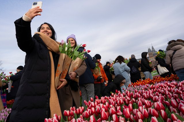 A woman takes a selfie as thousands of people picked free tulips on national tulip day which marked the opening of the 2024 tulip season on Museum Square in Amsterdam, Netherlands, Saturday, January 20, 2024. (Photo by Peter Dejong/AP Photo)