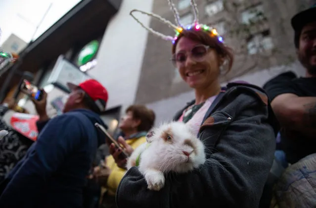A woman holds a rabbit during the celebration of the Chinese New Year, at the Chinatown, in Mexico City, Mexico on January 22, 2023. This year marks the Year of the Rabbit in the Chinese culture. (Photo by Daniel Cardenas/Anadolu Agency via Getty Images)