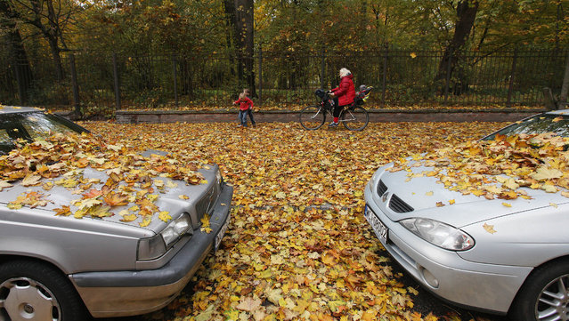 Leaves falling from trees in fall weather cover cars parked near the Lazienki Park in Warsaw, Poland, Friday, October 23, 2015. (Photo by Czarek Sokolowski/AP Photo)