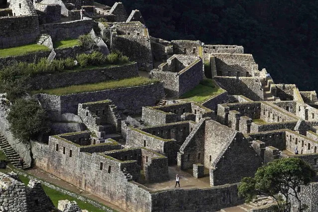 A visitor walks at the Inca citadel of Machu Picchu in Cusco December 2, 2014. (Photo by Enrique Castro-Mendivil/Reuters)