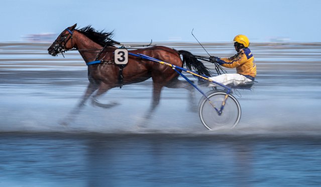 A harness racer competes in the Duhner Wattrennen horse race in Cuxhaven, northern Germany, on August 17, 2025. The race takes place in the Wadden Sea of the Elbe Estuary. (Photo by Focke Strangmann/AFP Photo)