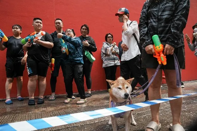 A dog is seen in a water fight during Songkran Festival celebrations, in Hong Kong, China on April 9, 2023. (Photo by Lam Yik/Reuters)