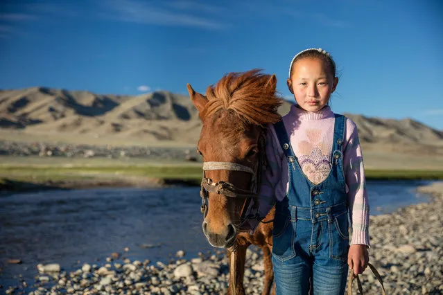Throughout the migration periods, Kazakh nomad families that share the same migration routes try to arrange different dates for their movements, so they can prevent the cattle to mix up, but it’s still common to meet another families on the way in Altai Mountains, Mongolia, June 2015. (Photo by Joel Santos/Barcroft Images)