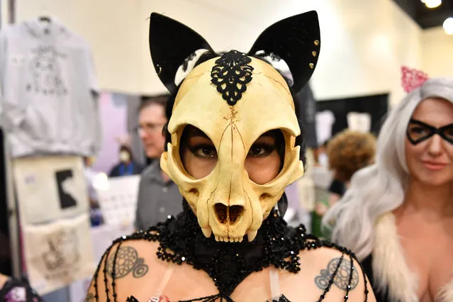 A CatCon attendee poses at CatCon LA 2023 at Pasadena Convention Center on August 06, 2023 in Pasadena, California. (Photo by Sarah Morris/Getty Images)