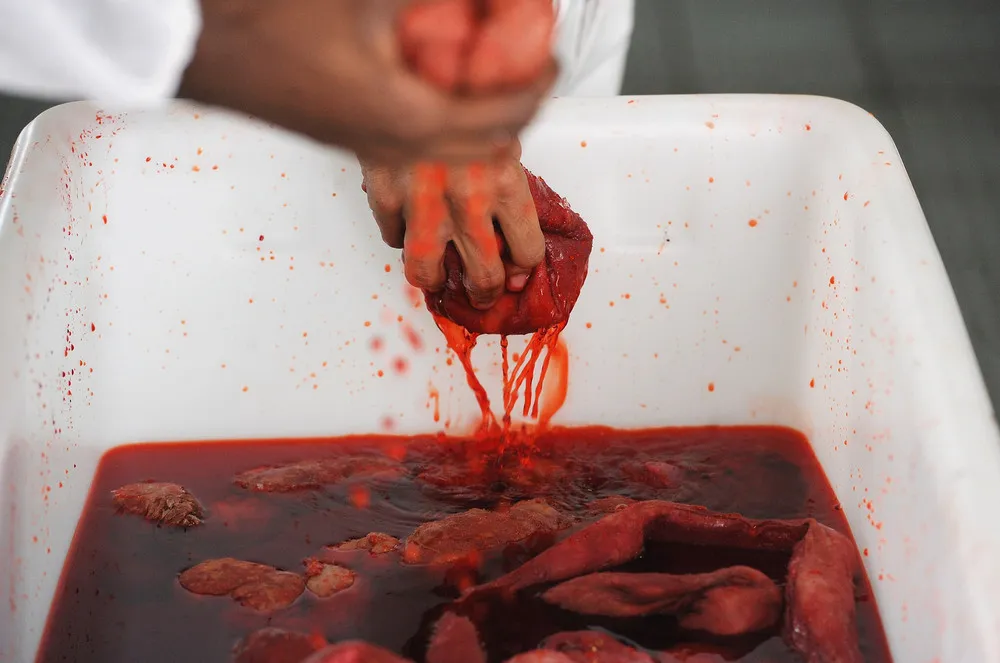 Students in Blood and Guts Fight in Empty Pool