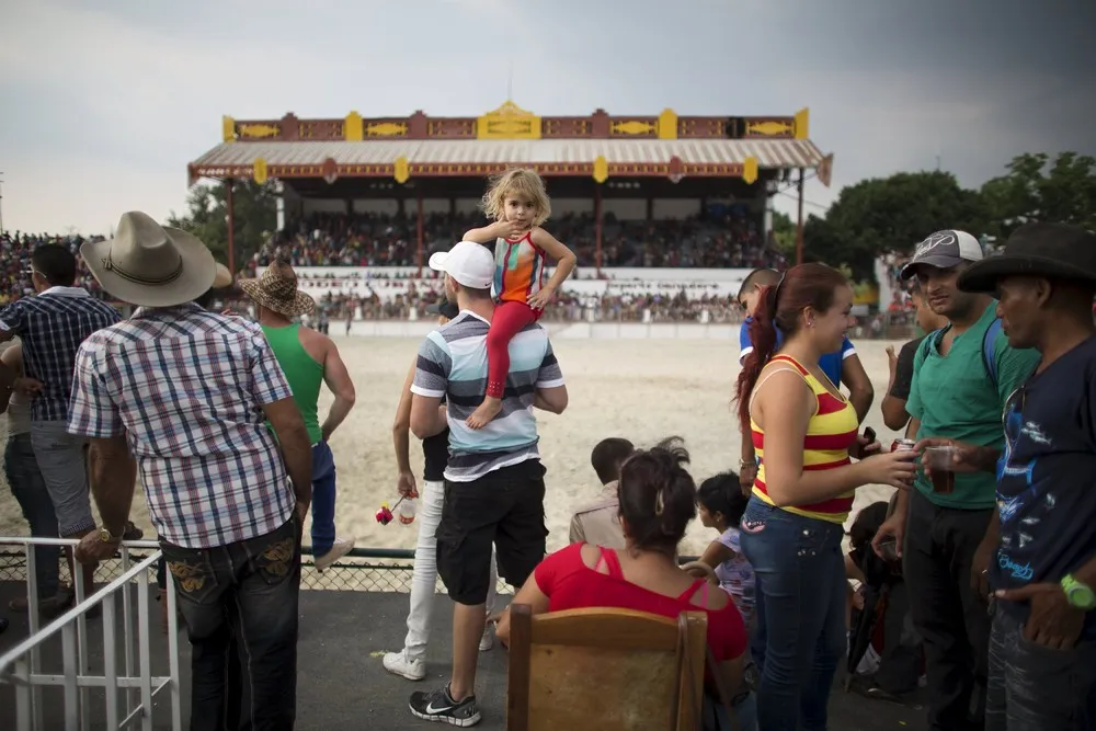 On the Rodeo Circuit in Havana