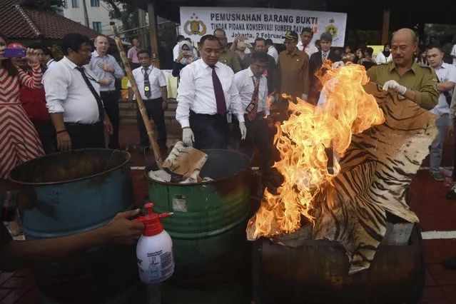Police officers destroy confiscated parts of protected animals at police headquarters in Jakarta, Indonesia, February 2, 2016, in this photo taken by Antara Foto. (Photo by Akbar Nugroho Gumay/Reuters/Antara Foto)