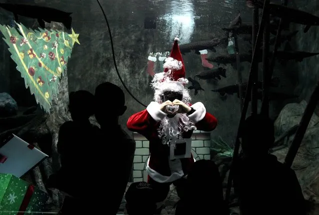 Biologist Octavio Nuno disguised as Santa Claus swims in a pool with Catan fish (Lepisosteus osseus), at the Guadalajara zoo's aquarium, in Guadalajara, Mexico, on December 8, 2018. The zoo offers the show during the Christmas season. (Photo by Ulises Ruiz/AFP Photo)