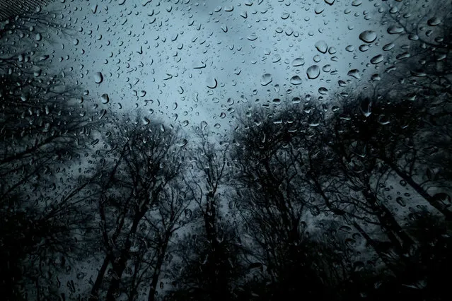 Rain drops collected on a window in Hanover, Germany, January 30, 2016. (Photo by Petter Steffen/EPA)