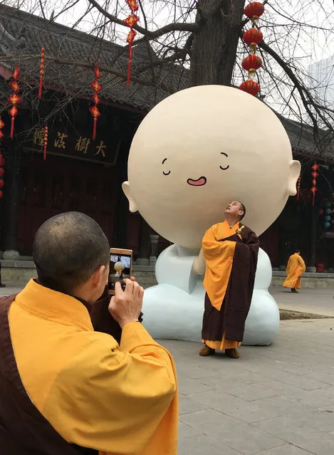 A monk looks up as he poses for a photo at a temple in Chengdu, Sichuan province, China, January 22, 2017. (Photo by Jason Lee/Reuters)