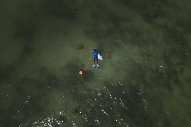 A volunteer dives in the waters at Los Totumos beach to remove litter during an event marking World Cleanup Day, in Higuerote, southeast of Caracas, Venezuela, Saturday, September 18, 2021. (Photo by Matias Delacroix/AP Photo)